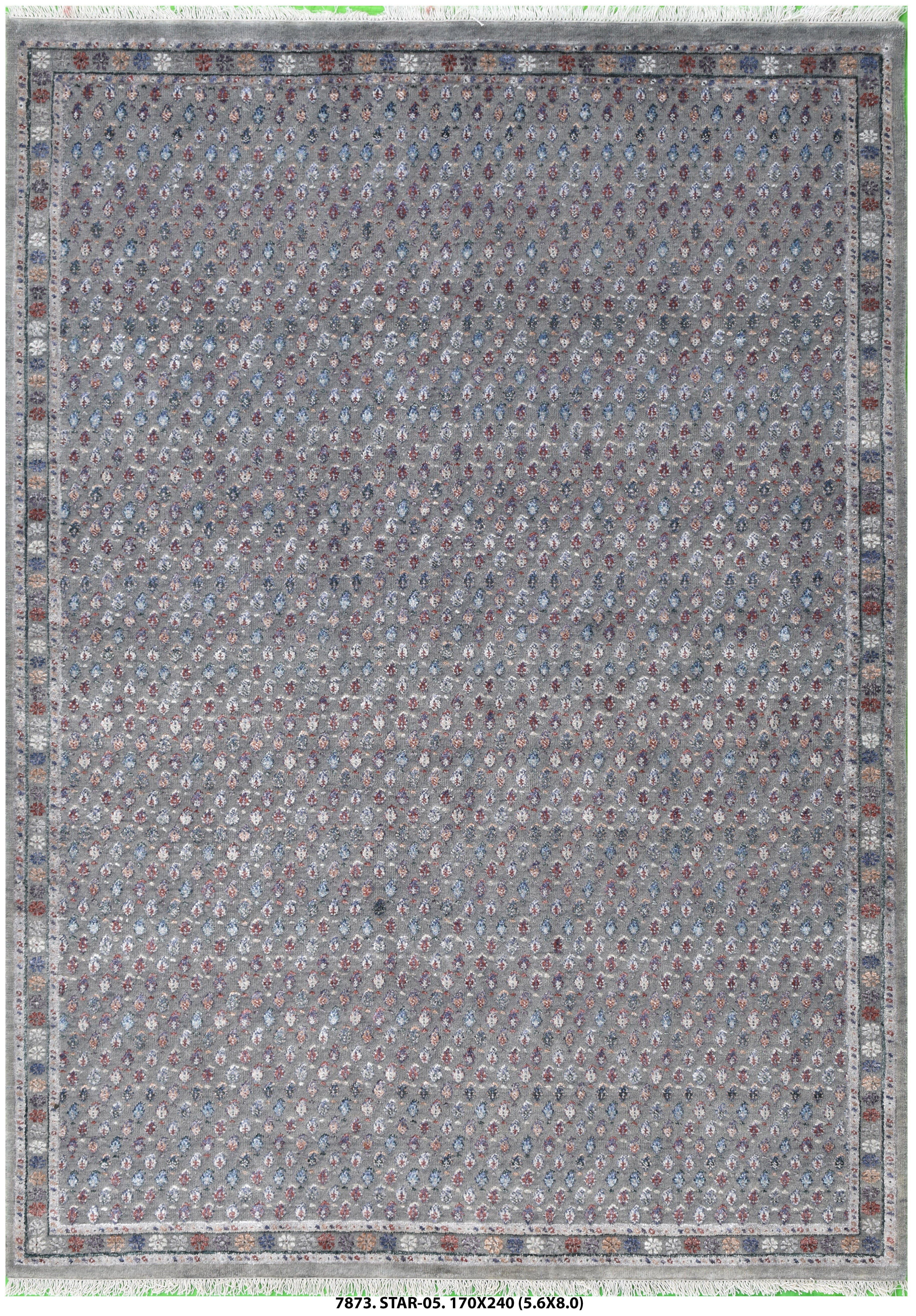 Star-05-7873-170 x 240