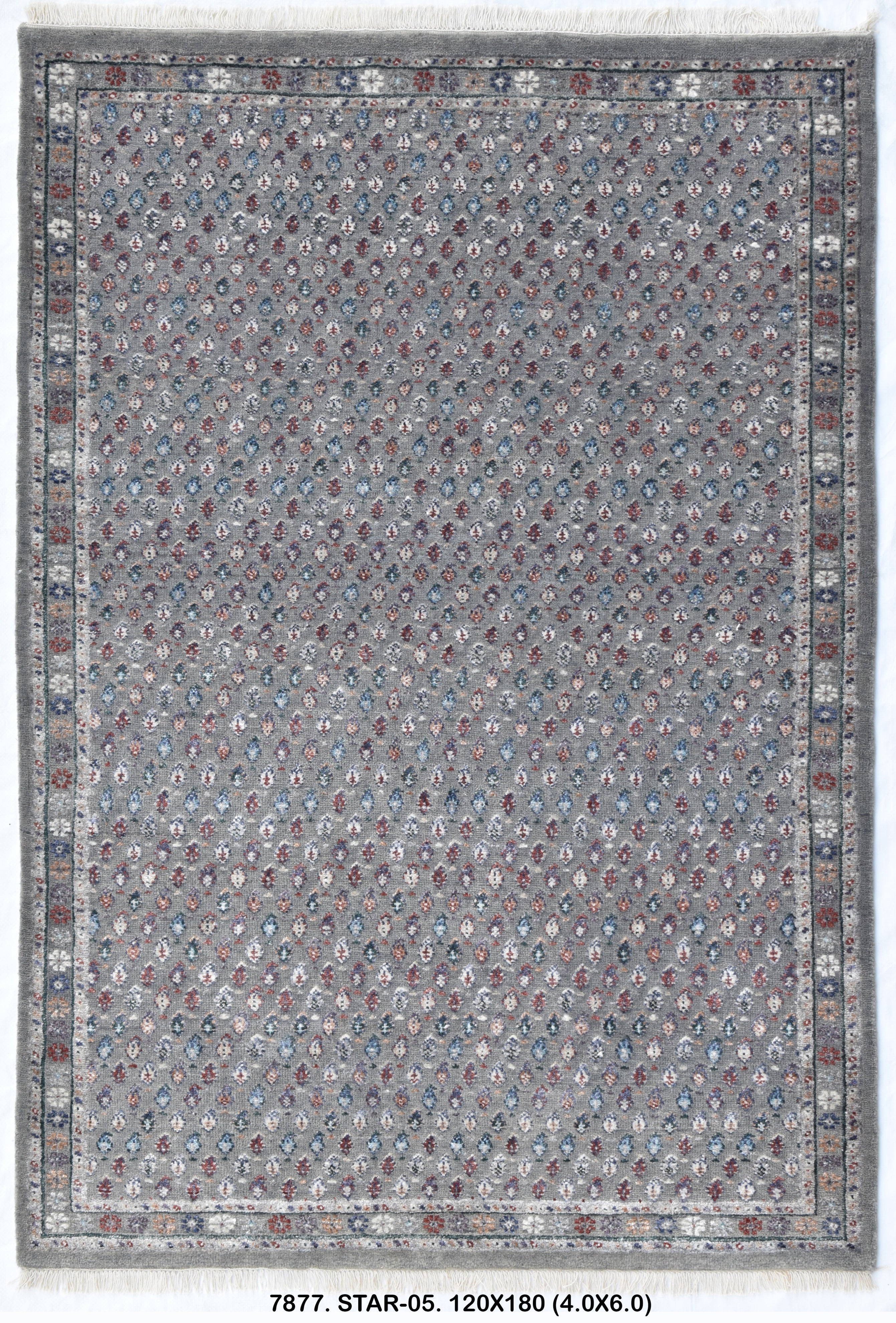 Star-05-7877-120 x 180