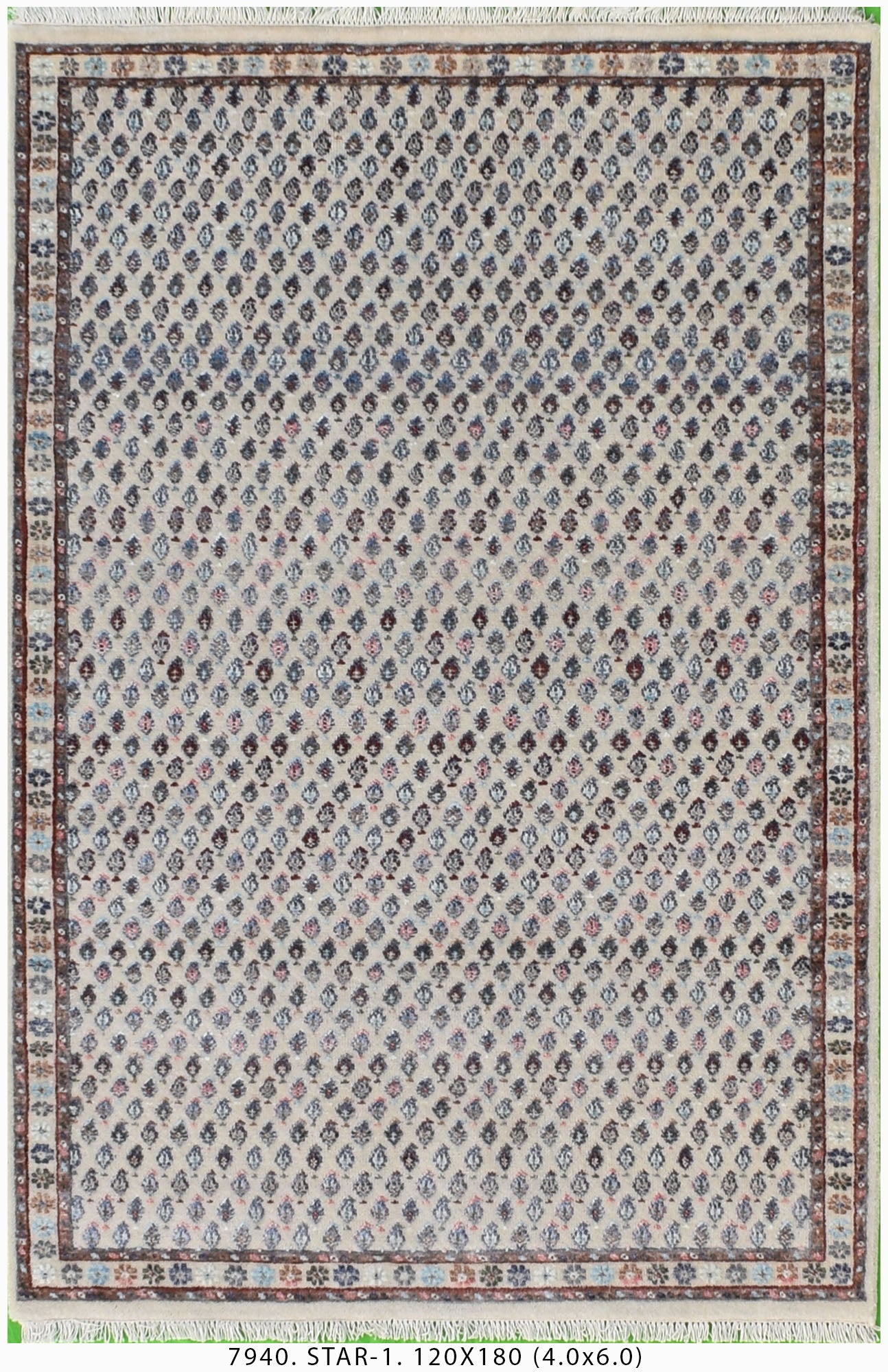 Star-1-7940-120 x 180